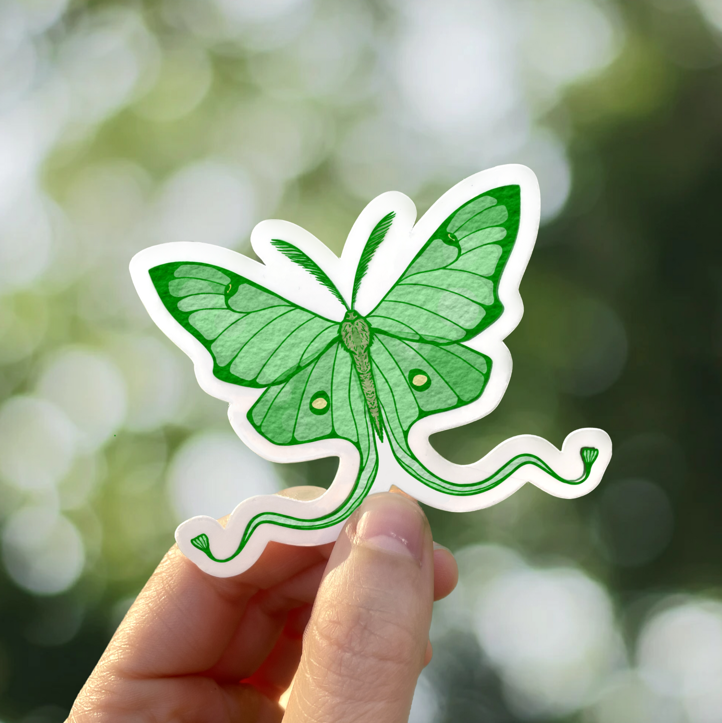Luna Moth Vinyl Sticker
