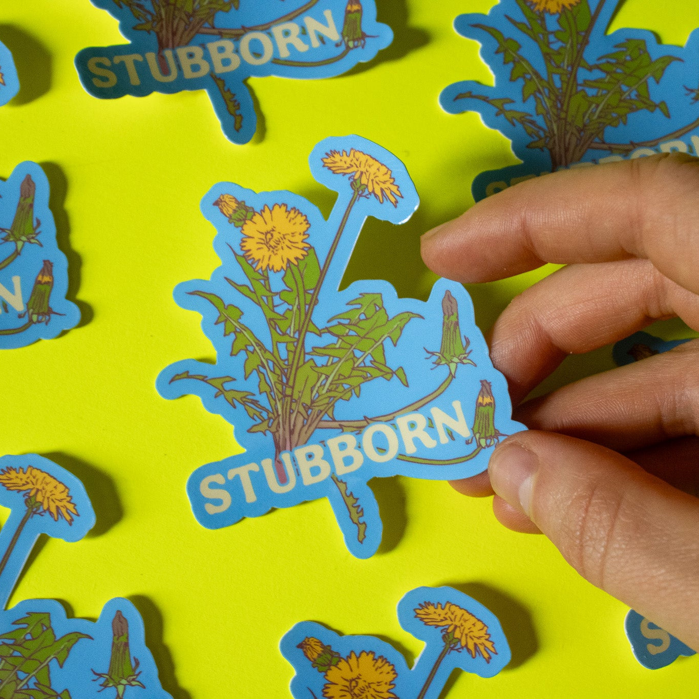Stubborn Dandelions Vinyl Sticker