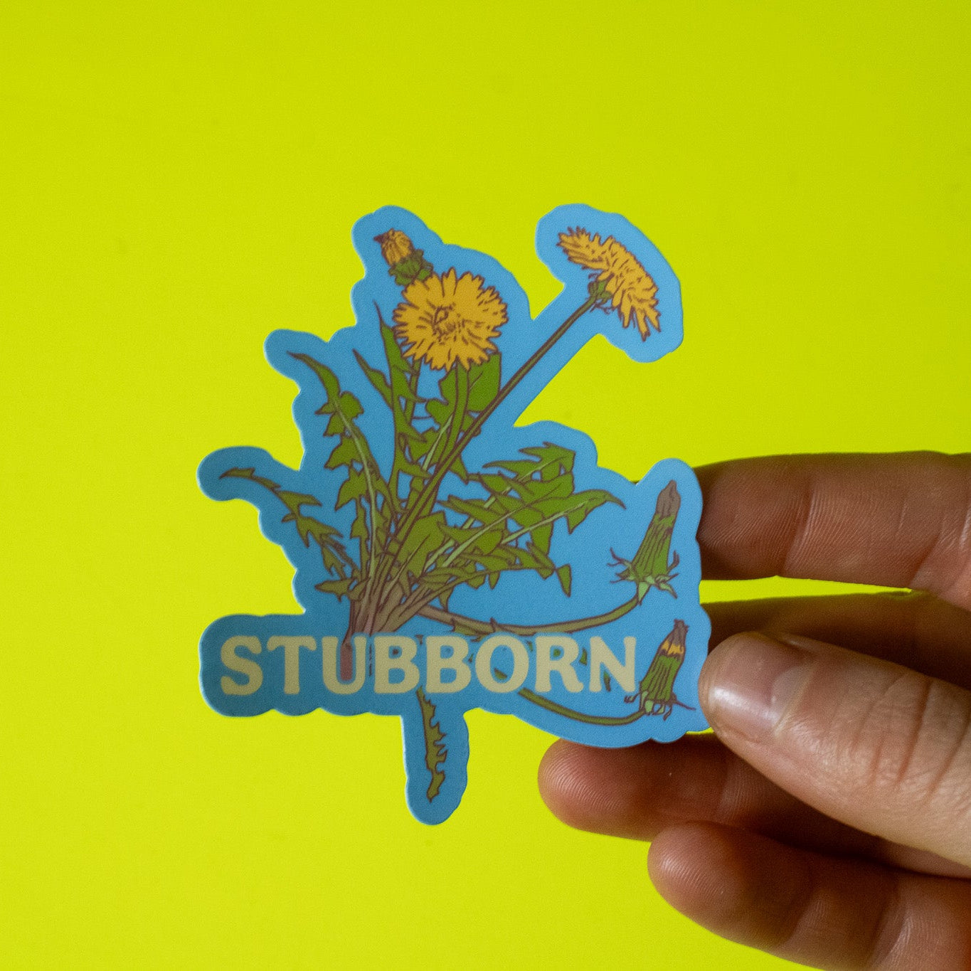 Stubborn Dandelions Vinyl Sticker
