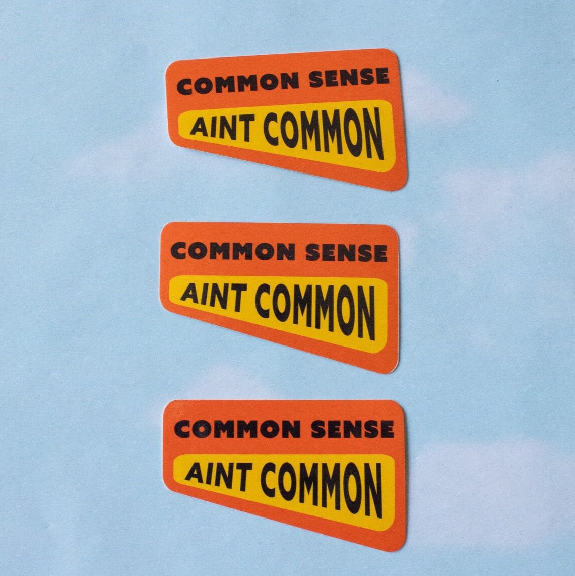 Common Sense Ain't Common Vinyl Sticker