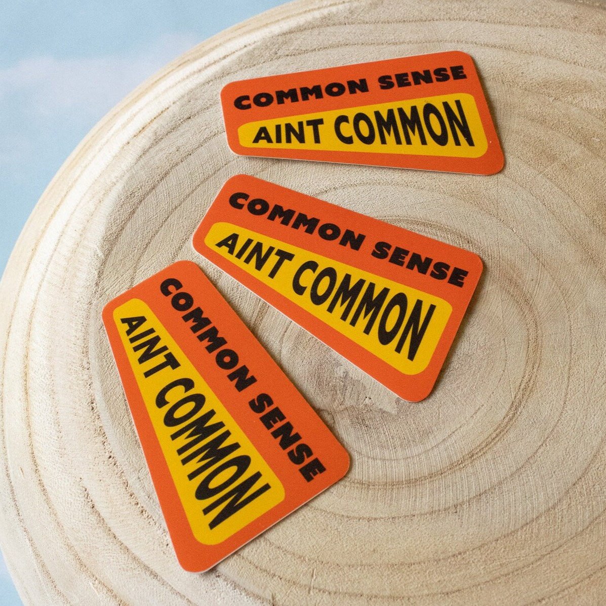 Common Sense Ain't Common Vinyl Sticker